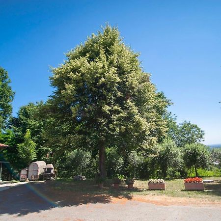 Agriturismo Turina Bricherasio Exteriér fotografie