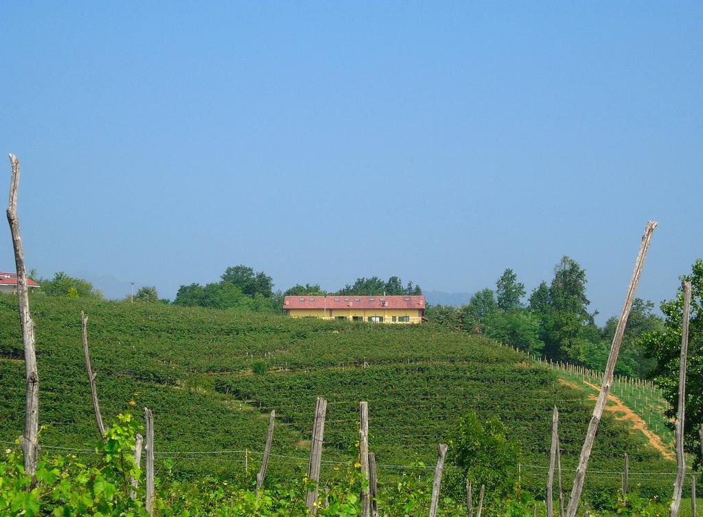 Agriturismo Turina Bricherasio Exteriér fotografie