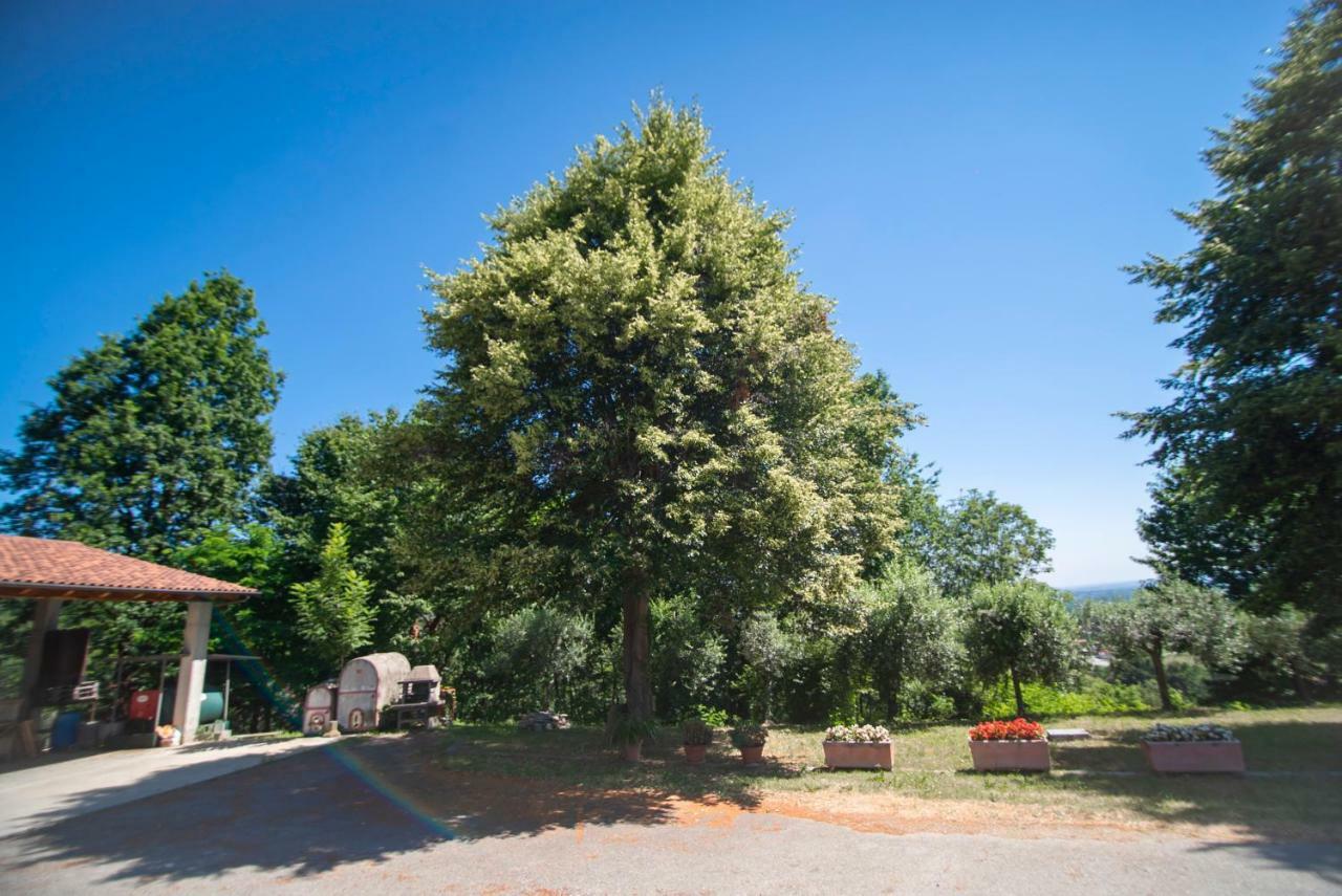 Agriturismo Turina Bricherasio Exteriér fotografie