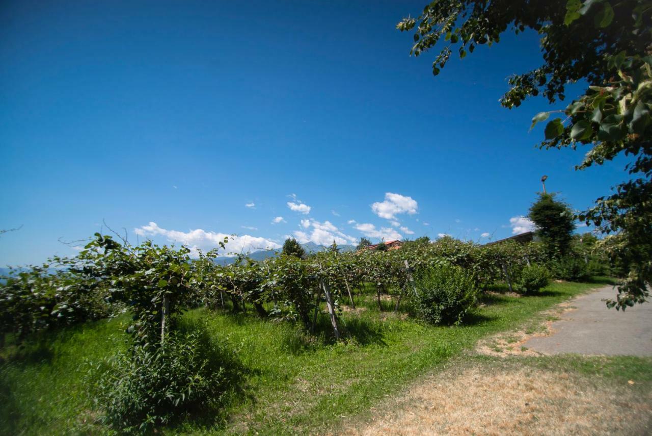 Agriturismo Turina Bricherasio Exteriér fotografie